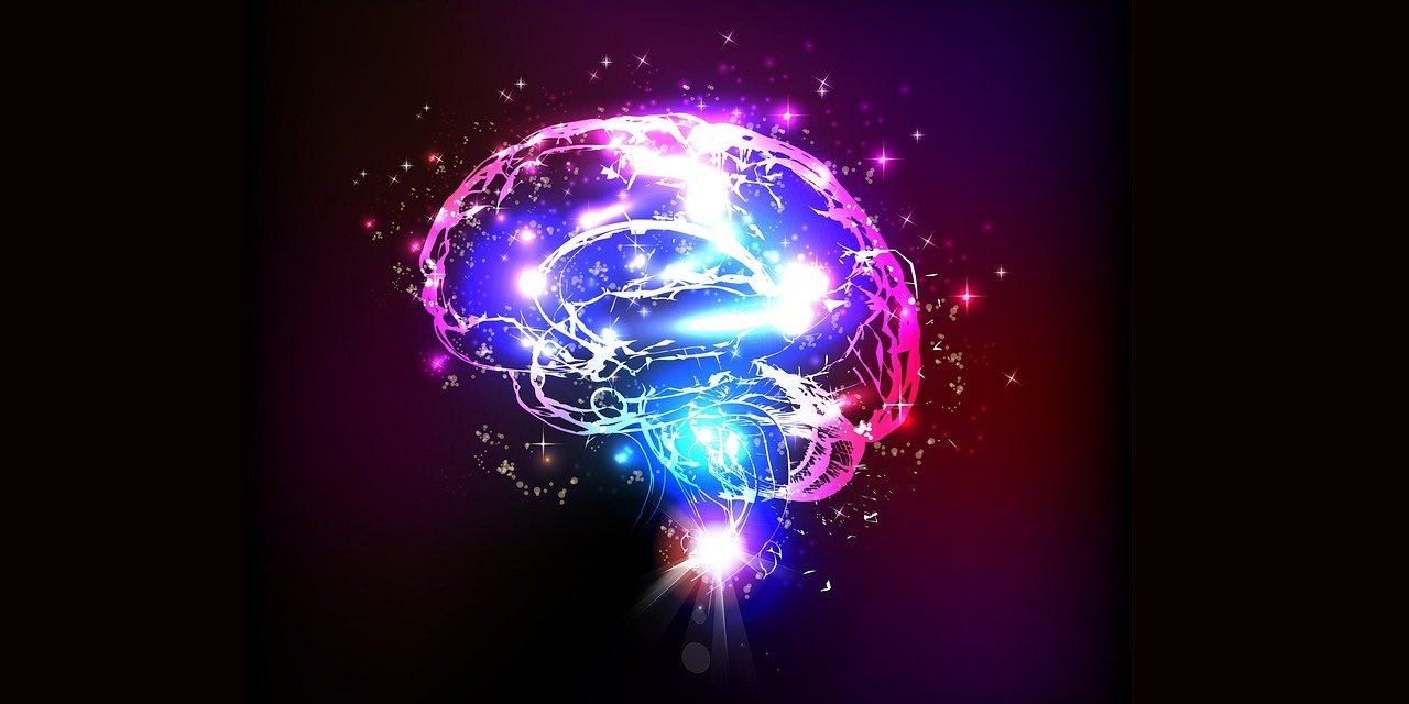 Featured image for “Understanding Brain Inflammation”